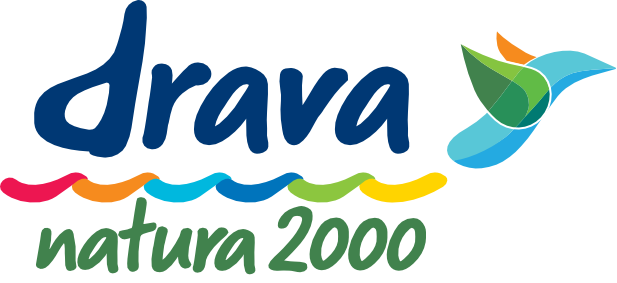 dravanatura logo