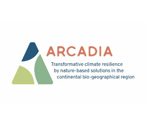 arcadia