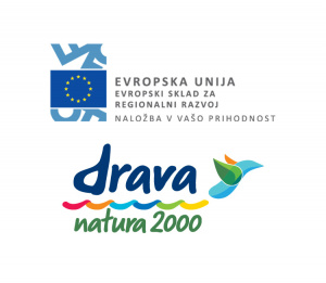 drava-natura-5